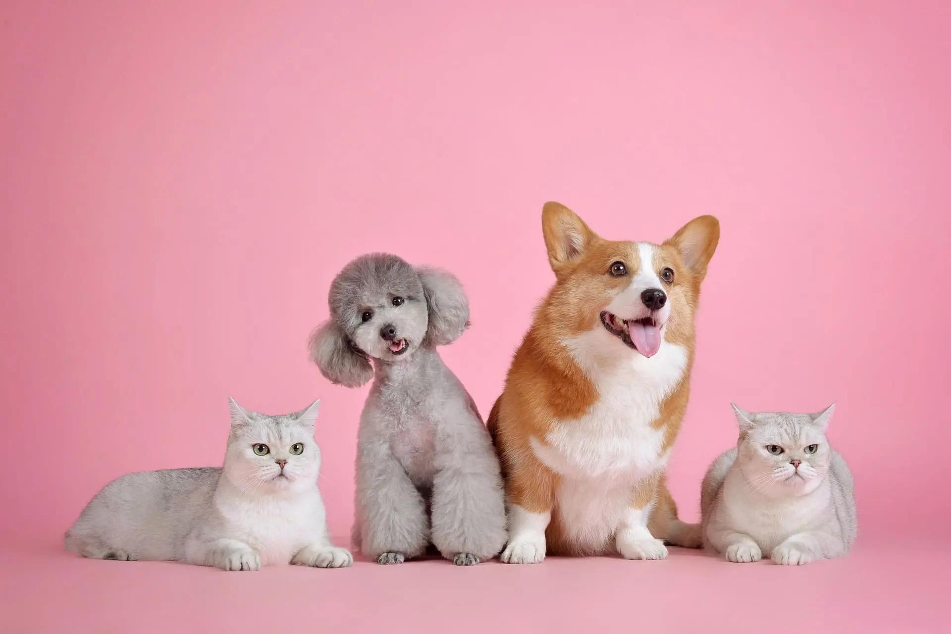 Riverside Garden's Animal Clinic